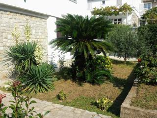 Guest House Djonovic - Petrovac na Moru - 1