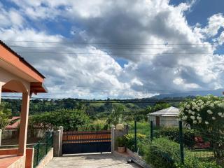 Le ZANDOLI (Appartement avec vue) - Petit-Bourg - 4