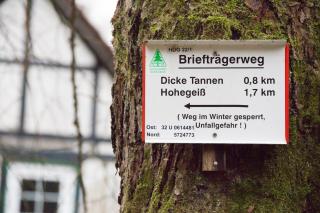 Waldhaus Wolfsbachmühle - Hohegeiß - 2
