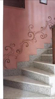 Ficarazzi - Morano Calabro - 2