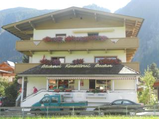 Ferienwohnung Bacher - Mayrhofen - 9
