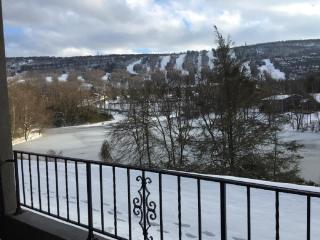 The Chateau Resort - Tannersville - 1