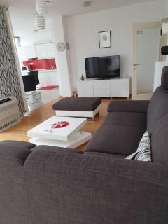 Penthouse HEART OF SLAVONIA **** - Ðakovo - 7