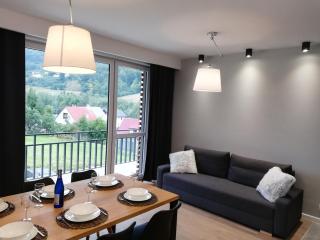 Apartament Winter House Szczyrk - Szczyrk - 8