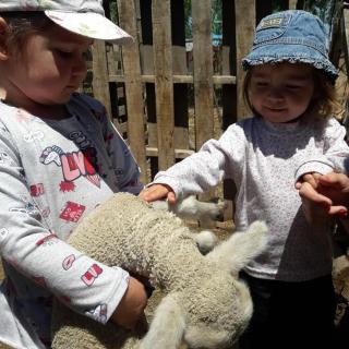 Complejo Los Parrales - 3