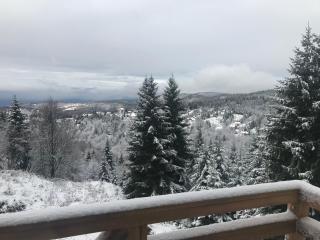 Vila Lucky Kop & Restoran - Kopaonik - 8
