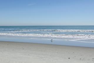 204 Dry Dock - Myrtle Beach - 6