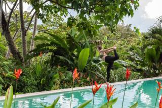 Jungle Lodge at Wild Sun Rescue Center - 1