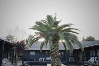 Hugo & Carters Backpackers & Motel - Tauranga - 8