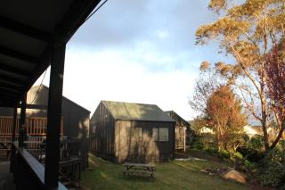 Hugo & Carters Backpackers & Motel - Tauranga - 6