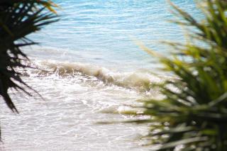 Noosa Court 6, Main Beach Gem - 9