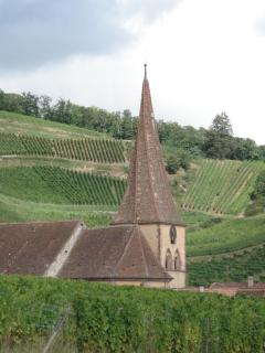Hôtel de l'Ange - Niedermorschwihr - 7