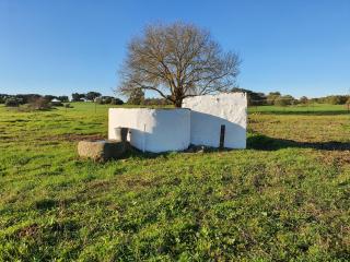 Monte das Cobras - Country House - Évora - 1
