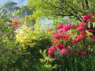 Bougain Villa Guesthouse - 5