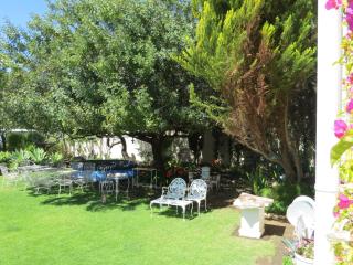 Bougain Villa Guesthouse - 4