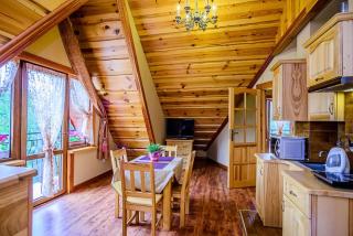 WILLA WIDOKOWA Apartamenty & Pokoje z widokiem na góry - Szczawnica - 5