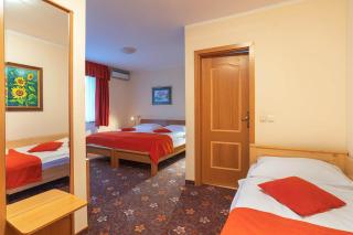 Alp Pension - Bled - 4
