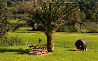Apartamentos Vega Rodiles el campu - 8