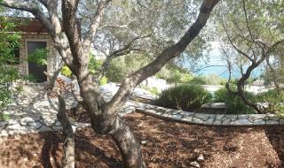 Nereidi Pool Villas - Porto Ozias - 7