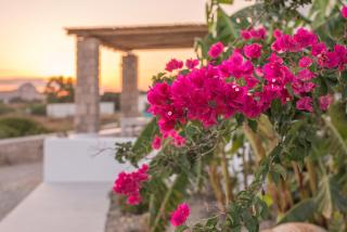 Milis Houses - Adamas - 9