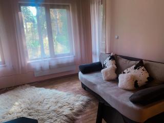 Evrika home 19 - Pamporovo - 3
