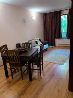 Evrika home 21 - Pamporovo - 6