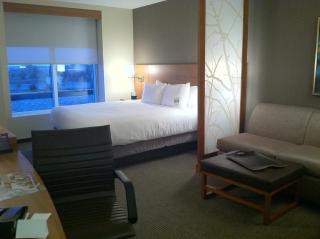 Hyatt Place Detroit/Novi - 7