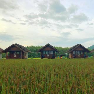 Namm Natawn - Ko Yao Noi - 0