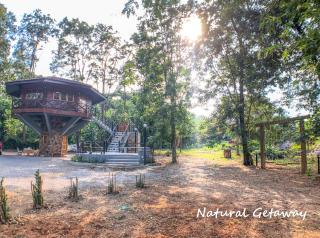 Hidden Treehouse in Khao Yai (8 PAX) - Nong Nam Daeng - 7