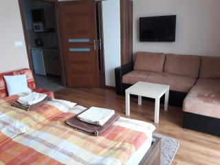 Fridrich apartman - 3
