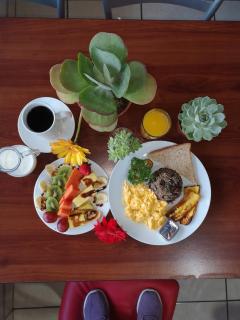 Hostel Coati Place Bed & Breakfast Adults Only - Monteverde - 5