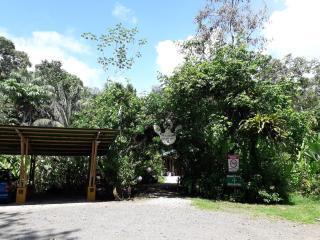 Danta Corcovado Lodge - Rincón - 6
