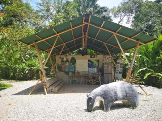 Danta Corcovado Lodge - Rincón - 9