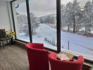 apartman SUPERKLASIKO - Divčibare - 1
