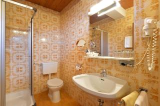 Haus Friederike - Sylvia Brunner - Ellmau - 6