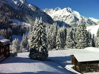 Gästehaus Wildbach - Mittelberg - 3