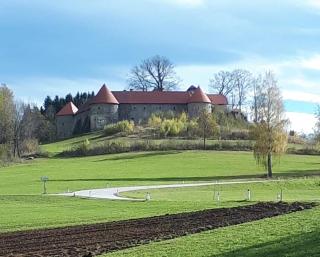 Ferienbauernhof Koller (Familie Hofer) - Urlaub am Bauernhof - Helfenberg - 4