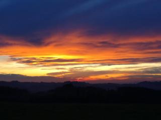 Ferienbauernhof Koller (Familie Hofer) - Urlaub am Bauernhof - Helfenberg - 6
