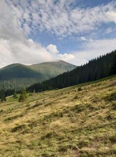Kreitser - Lazeshchyna - 4