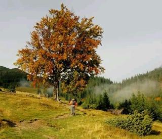 Kreitser - Lazeshchyna - 6
