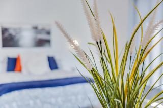 Estudio Verode - Arona - 4