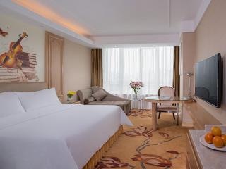 Vienna Hotel (Shajinbei Road Fuquan Guizhou) - Fuquan - 8