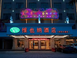 Vienna Hotel (Jieyang Jinxian Dadao Shop) - 8