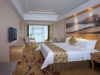Vienna Hotel(Xiangtan Center Branch ) - 6