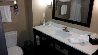 Holiday Inn Express and Suites Atascocita - Humble - Kingwood by IHG - Humble - 1