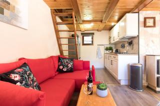 Vila Rozi, Osilnica - vacation house Pr' Vili Rozi - Osilnica - 1