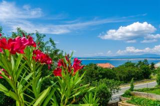 RAJNOVIC - Crikvenica - 9