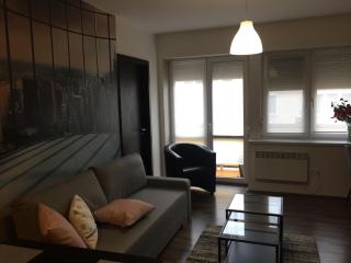 Next to university - Debrecen - 6