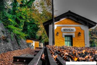Karpofora Traditional Guesthouse - Miléai - 9