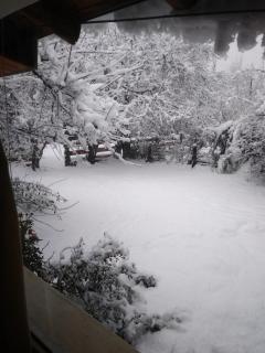 Departamento Laguna Blanca - 0